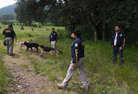 Policia de México 2