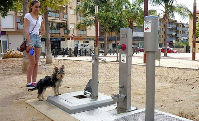 Baño para perros