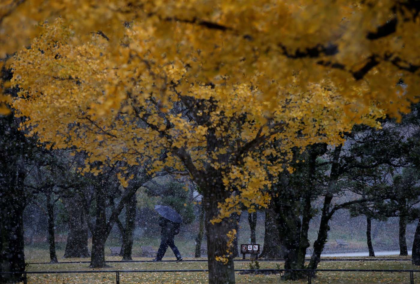 2016-11-24T013133Z_2034143038_S1AEUOOYTXAA_RTRMADP_3_JAPAN-WEATHER