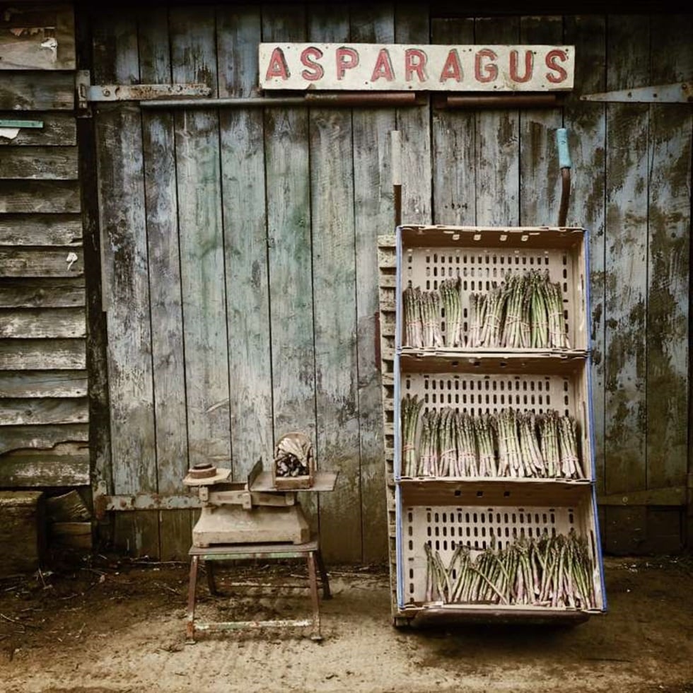 TERCER LUGAR, COMIDA "Esta imagen fue tomada fuera de una vieja granja-tienda destartalada en Suffolk. La zona es conocida por sus espárragos y la temporada de crecimiento dura sólo un par de semanas, el agricultor acababa de recoger los racimos que se muestran en la fotografía en media hora, la mayoría había sido vendida".