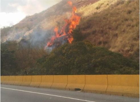 Otra vez se quema El Ávila (Fotos)