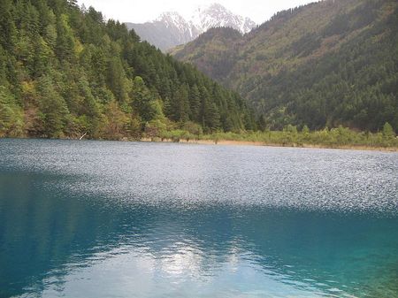 Aparecen mil patos muertos en un río de China