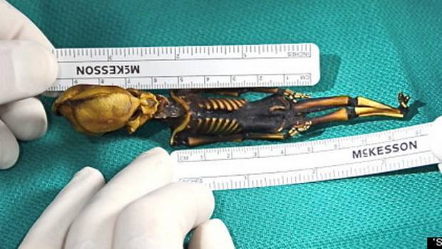 Restos que parecían de un Alien corresponden a una criatura humana (Fotos)