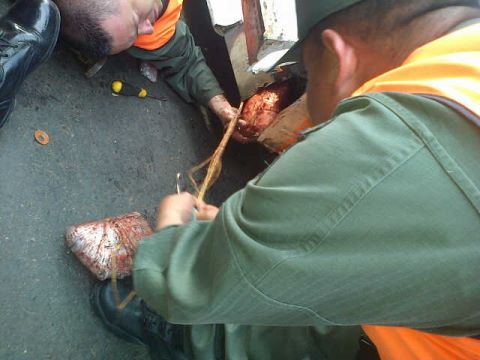 Incautan 32 panelas de marihuana en el estado Zulia (Fotos)