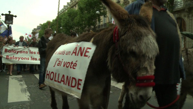 Marcha con burros y peluches (Video)