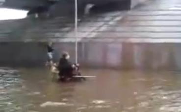 Increíble: Perro empuja a minusválido en plena inundación (Video)