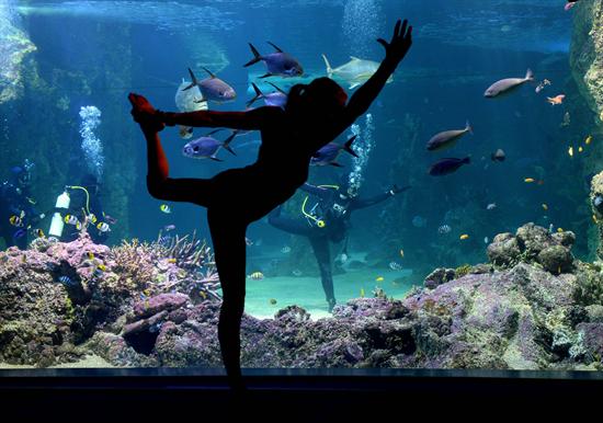 Clases de yoga en un lugar muy original (Fotos)