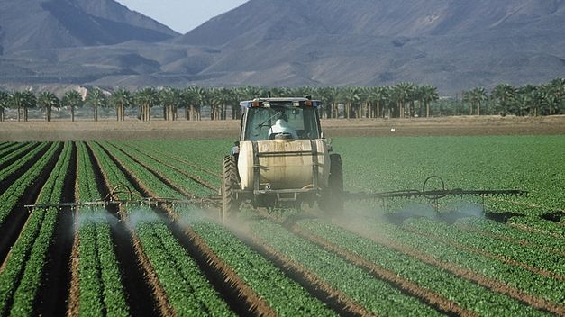 Descubren ‘huella’ de los pesticidas en el Alzheimer