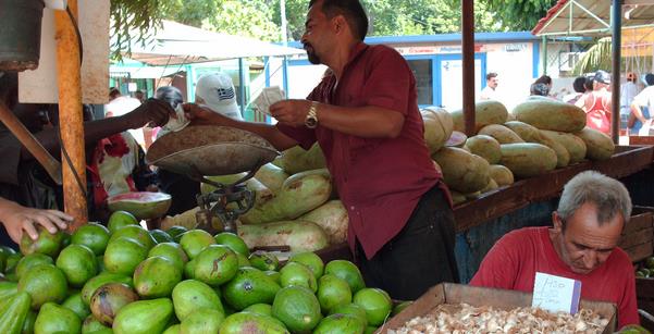 El Granma critica desabastecimiento y mal trato en mercados estatales cubanos