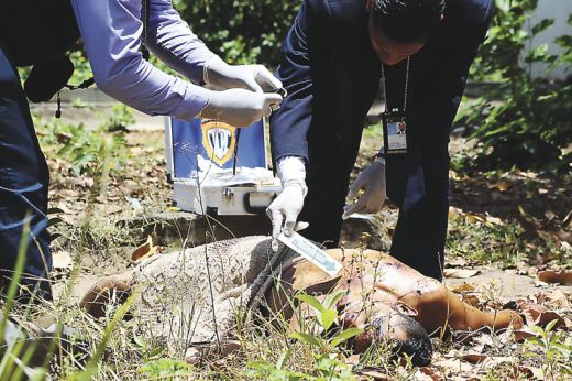 Acribillan a joven en San Félix