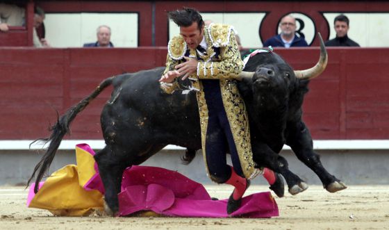 El torero David Mora es corneado por el primer toro en las Ventas. / Santi Burgos