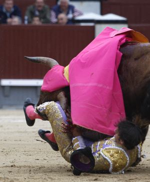 El diestro Antonio Nazaré es corneado en las Ventas. / Santi Burgos