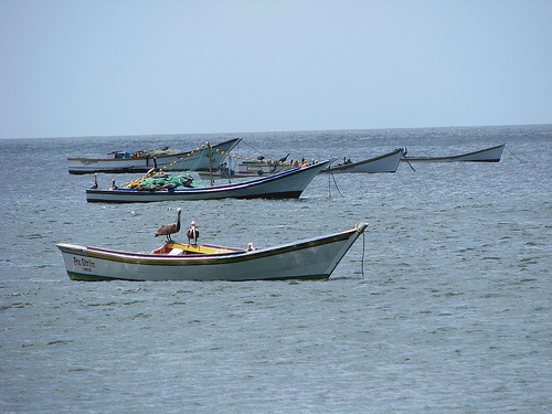 Escasez de aceite limita faena de pescadores y transportistas