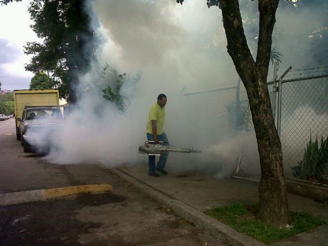 FUMIGANDOCONTRAELDENGUE1