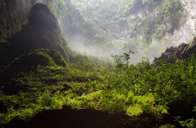 Son Doong Forest, Vietnam