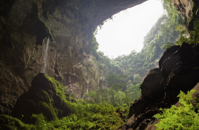 Son Doong Forest, Vietnam2