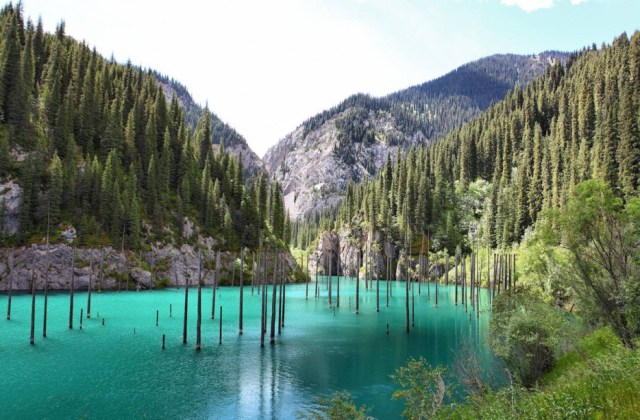 Sunken Forest, Kazakhstan