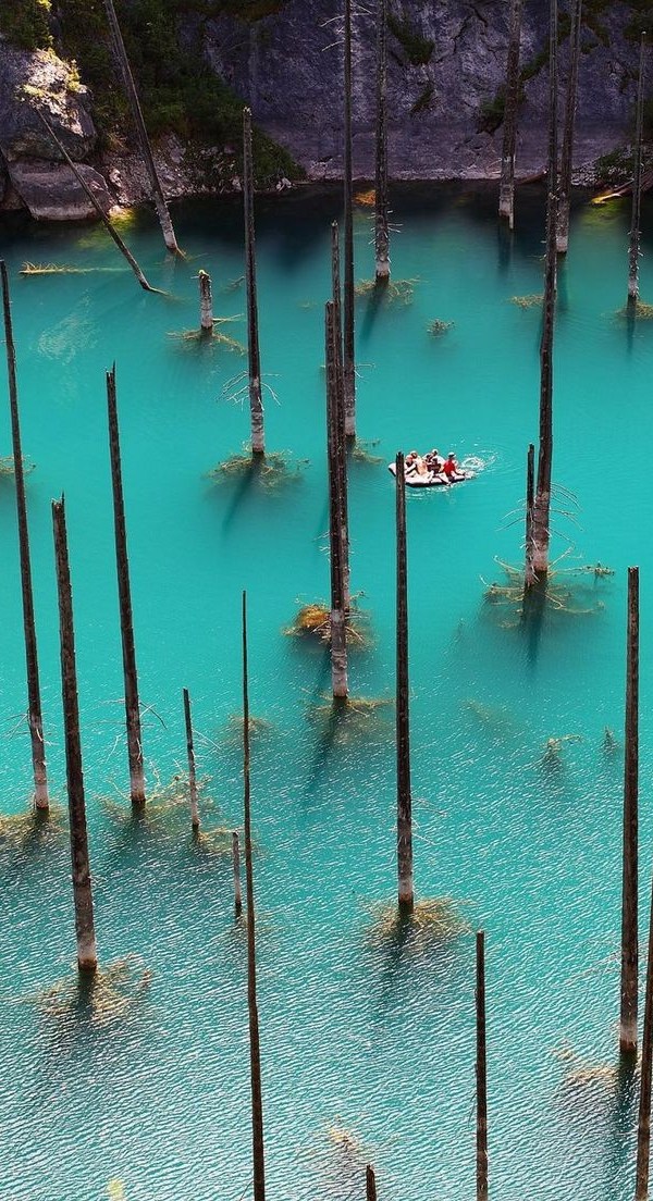 Sunken Forest, Kazakhstan2