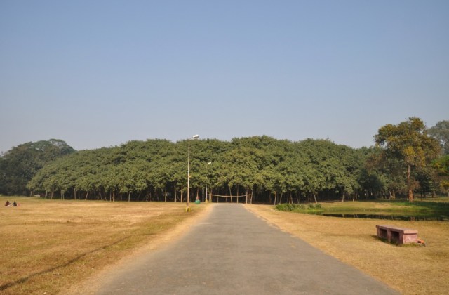 The Great Banyan, India