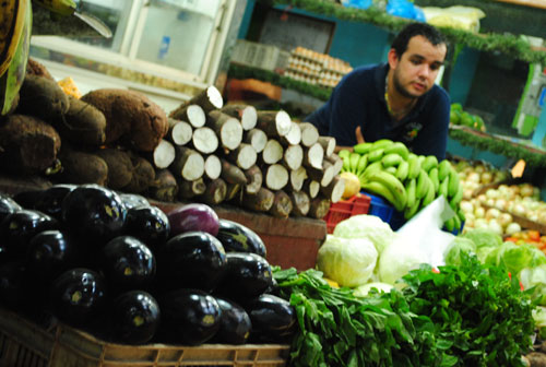 Fedeagro advierte sobre la escasez de semillas para producir hortalizas