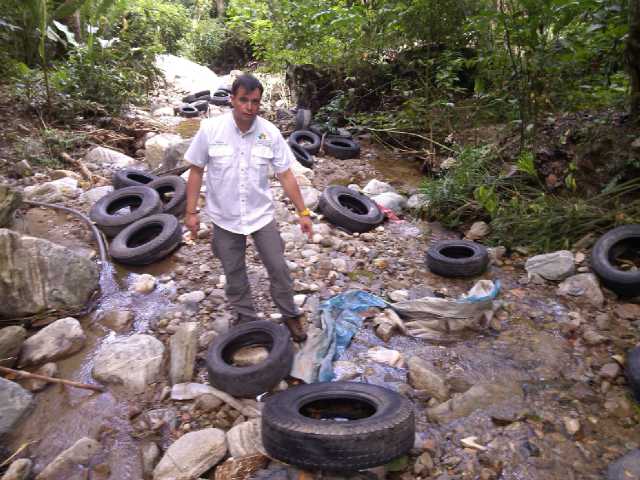 Cauchos en Quebrada Ayala