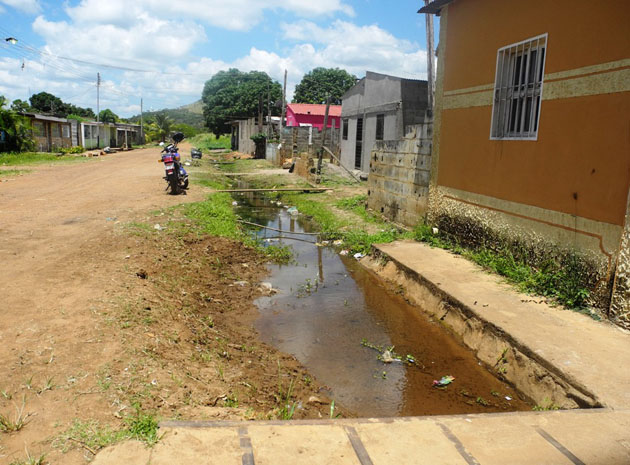 Aguas acumuladas en algunos sectores, han sido el detonante en cuanto a la cría del mosquito del dengue. Foto: Indira Zamora/ Prensa de Guayana