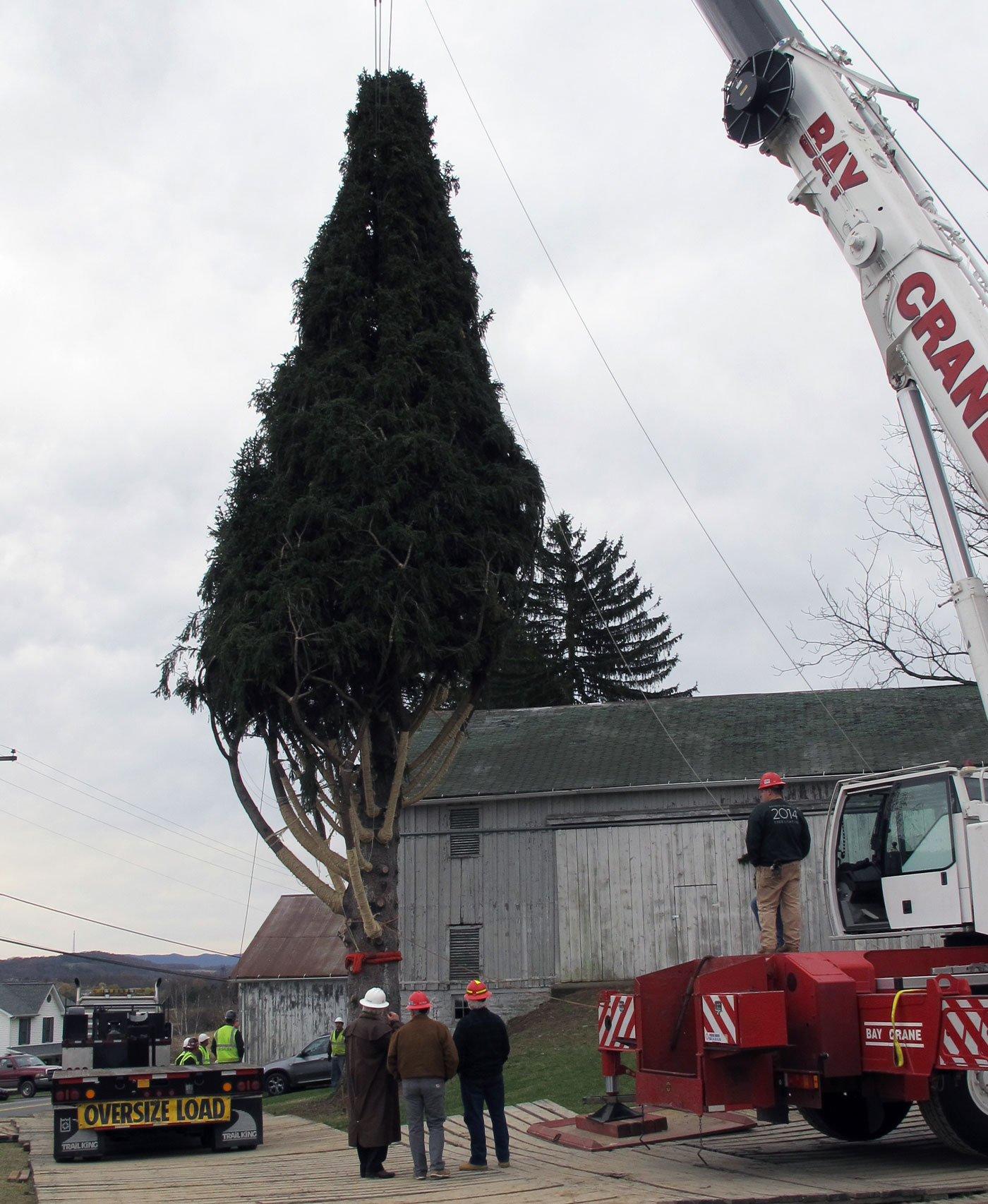 Un árbol navideño de 26 metros va camino al Rockefeller Center (Foto)