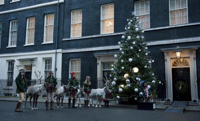  Una partida de renos llega a la entrada de la sede del gobierno británico en el número 10 de Downing Street, Londres, Reino Unido hoy 15 de diciembre de 2014 durante un evento solidario con motivo de las Navidades. EFE/Hannah Mckay