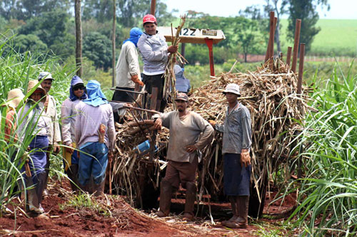 Fedeagro: Productores están asfixiados por falta de insumos