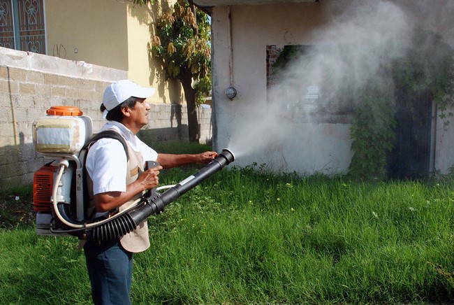 Servicios de fumigación privada disminuyeron demanda