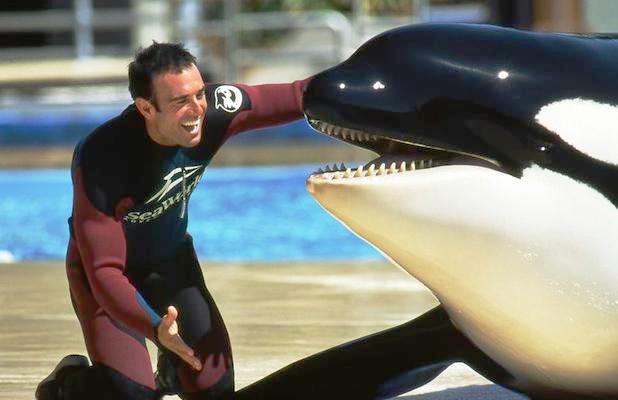 Foto:  John Hargrove, ex entrenador de orcas / cetaceaninspiration.com