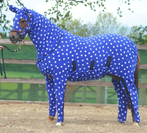 Foto: Pijama para caballos /  nopuedocreer.com