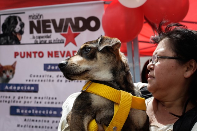 Fundación Misión Nevado