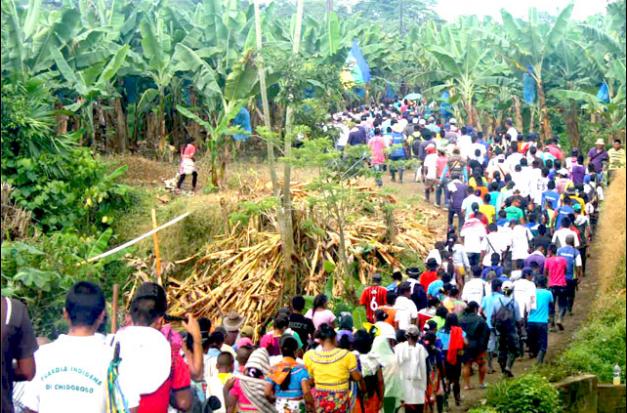 Desplazan a indígenas colombianos por presencia de las Farc