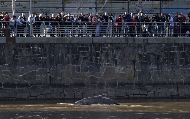 Foto: AFP