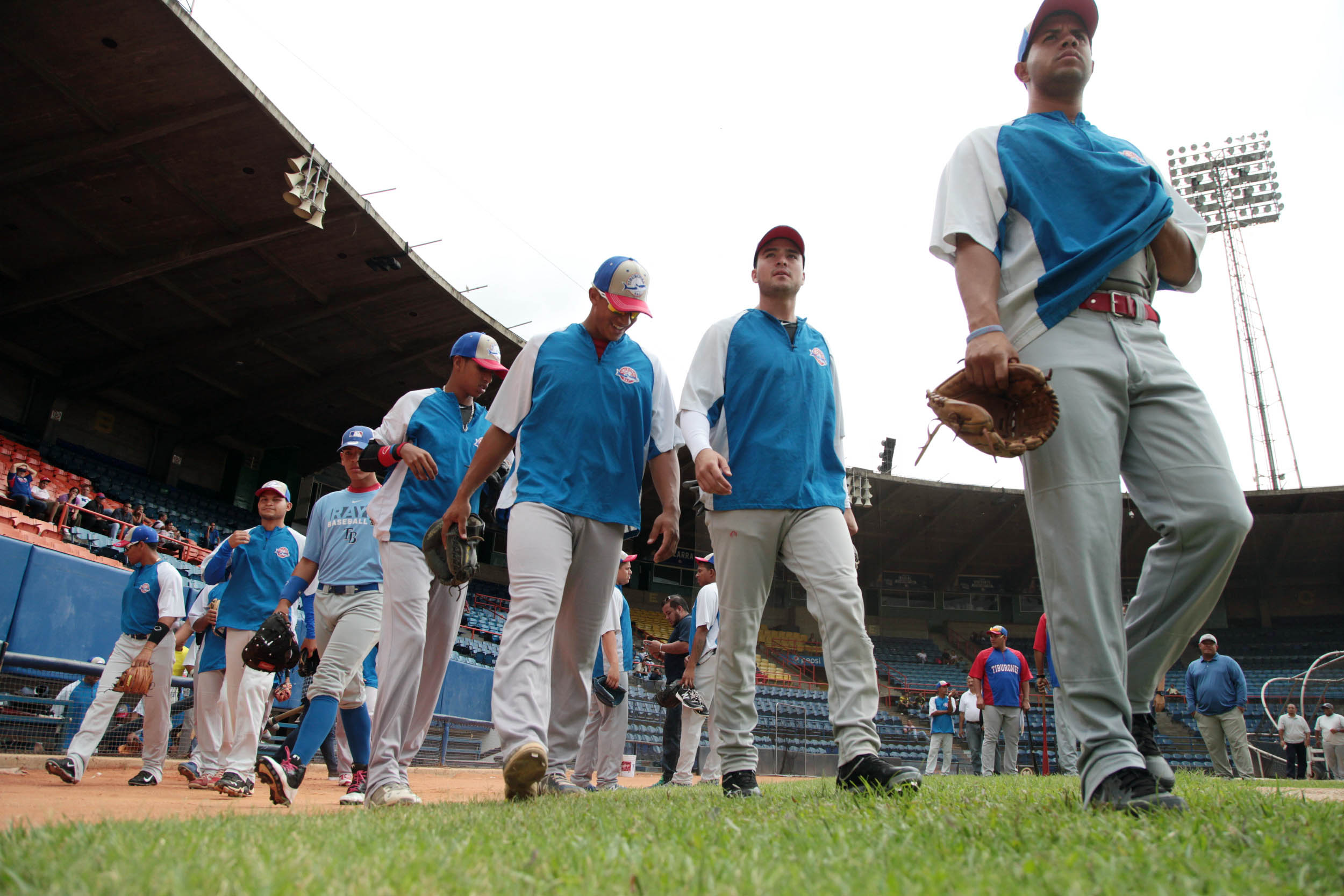 Tiburones de La Guaira siguen sumando peloteros en su pretemporada