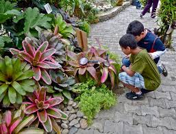 Abiertas postulaciones para Premio Municipal de Ambiente en Baruta