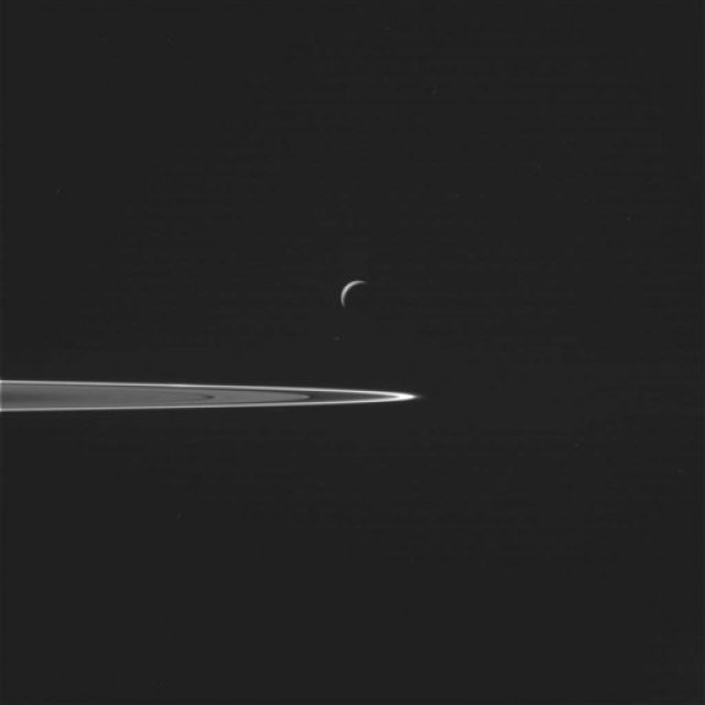 Esta imagen del miércoles, 28 de octubre dle 2015 proveída por la NASA muestra la luna de Saturno Enceladus, al centro, con parte de los anilos dlke planeta delante, poco antes del vuelo cercano de la nacve espacial Cassini, de la NASA.  (NASA/JPL-Caltech/Space Science Institute via AP)