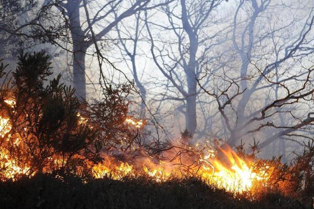 SPAIN INCENDIOS FORESTALES