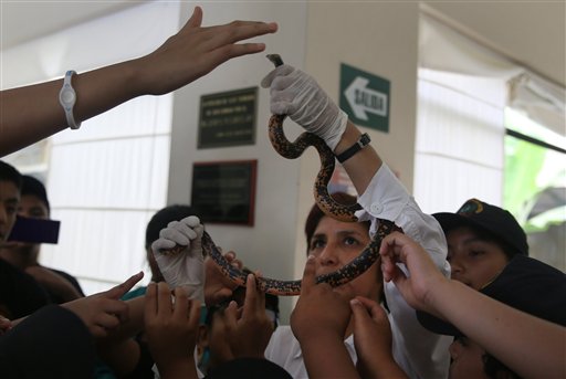 (AP Foto/Marín Mejia)