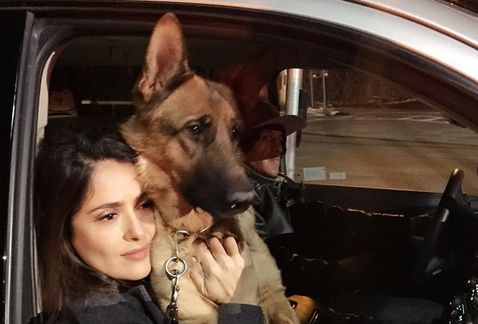 Salma_Hayek-perro_MILIMA20160227_0185_11