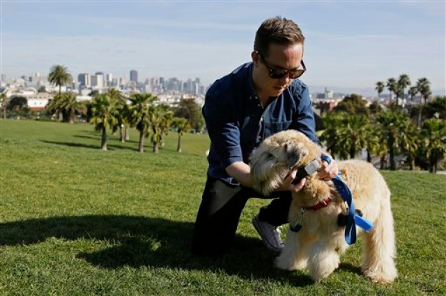 En esta foto del 24 de febrero de 2016, Russell Gipson Shearer muestra el rastreador de mascotas en su perro Rocket en San Francisco. En el mundo hiperconectado de hoy, la tecnología llega a las mascotas. En Silicon Valley y más allá, un número creciente de empresas nuevas crean artefactos para mantener a las mascotas sanas, salvas, felices y conectadas cuando sus dueños están ausentes, pero los expertos advierten que el exceso de confianza en ellas puede ser perjudicial (AP Photo/Eric Risberg)