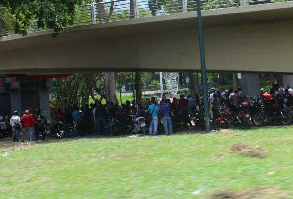 colectivos3