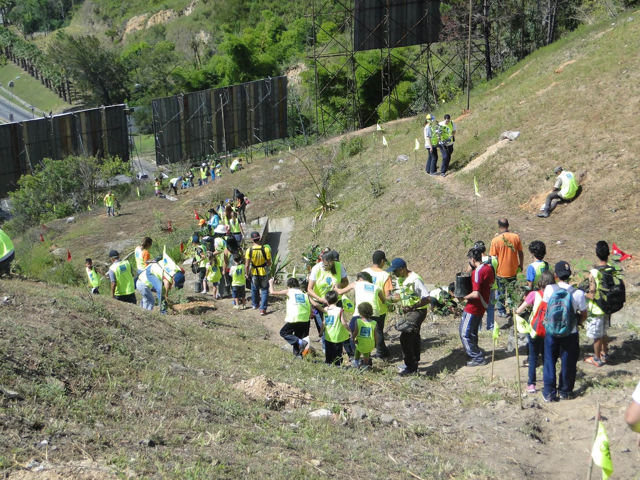 “Canopy Verde” automatiza a El Araguaney en Baruta (Fotos)