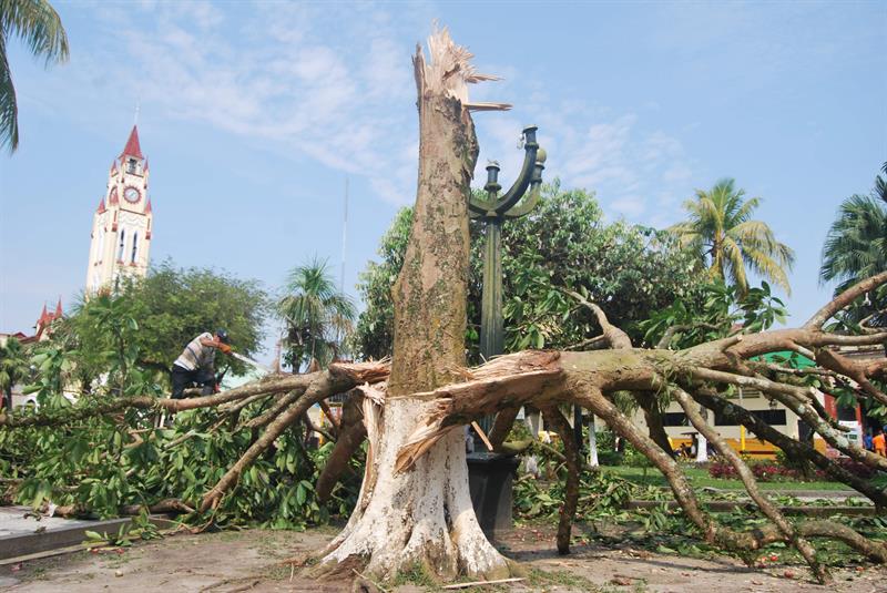 Un estadounidense murió tras fuertes vientos y lluvias en la Amazonía peruana