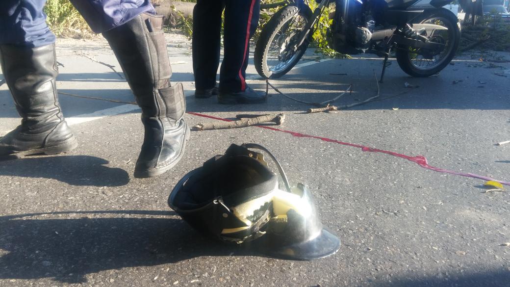 Lesionados por caída de árbol en la Gran Mariscal de Ayacucho