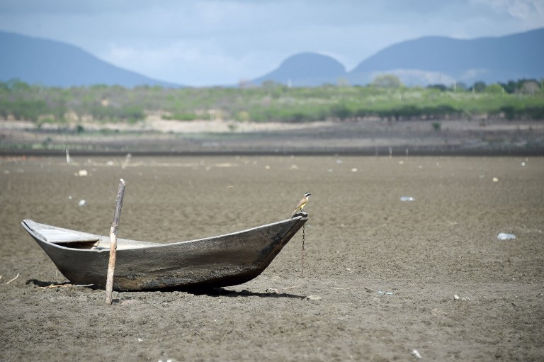 El embalse más antiguo de Brasil se convirtió en un cementerio de tortugas (fotos)