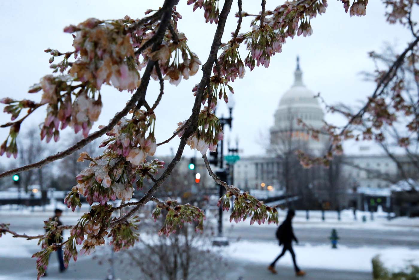 Así está Washington DC por el paso de la tormenta Stella (fotos)