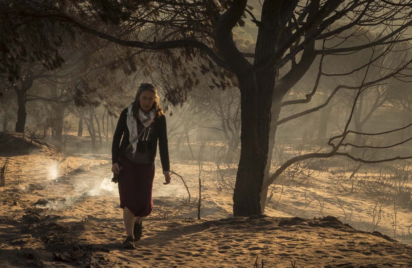 Siguen combatiendo el incendio en el Espacio Natural de Doñana