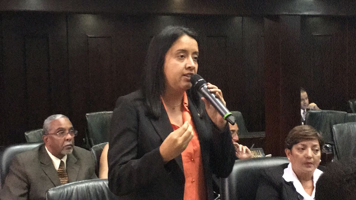 Gaby Arellano: Reverol no es ministro es el represor del Cartel de Maduro